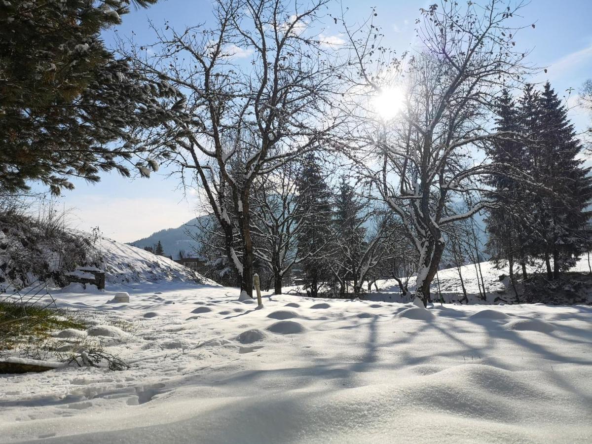 Vila Haus Senna Murau Exteriér fotografie